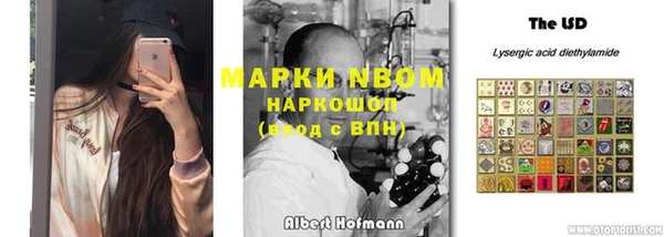 Альфа ПВП Лагань