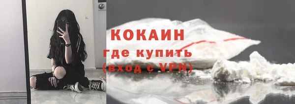 шишки Куйбышев