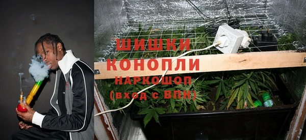 Альфа ПВП Лагань