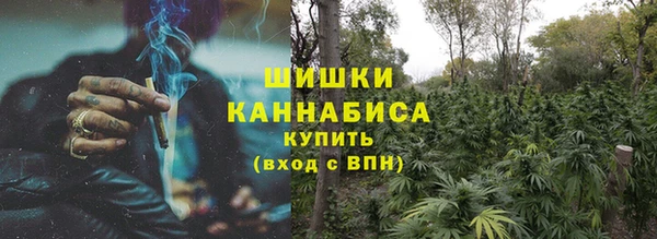 шишки Куйбышев